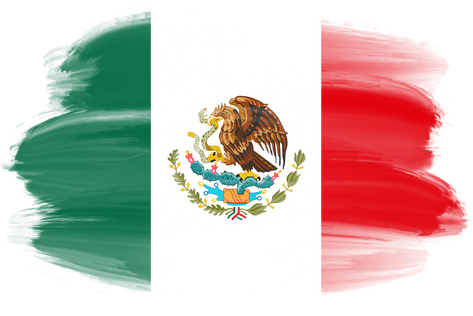 Mexico Flag Brushstroke  